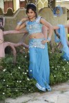 Madhavi Latha Hot Stills - 7 of 98