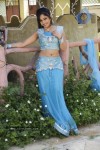 Madhavi Latha Hot Stills - 8 of 98