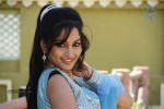 Madhavi Latha Hot Stills - 42 of 98