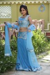 Madhavi Latha Hot Stills - 75 of 98