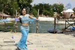 Madhavi Latha Hot Stills - 84 of 98