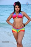 Komal Jha Spicy Gallery - 94 of 106