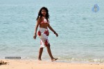 Komal Jha Spicy Gallery - 102 of 106