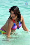 Komal Jha Spicy Gallery - 62 of 106