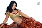 Navaneetha Hot Gallery - 58 of 61