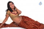 Navaneetha Hot Gallery - 59 of 61