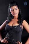 Navaneetha Spicy Stills - 70 of 79