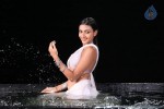 Neelam Upadhyay Hot Pics - 63 of 56