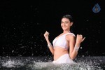 Neelam Upadhyay Hot Pics - 26 of 56