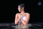 Neelam Upadhyay Hot Pics - 28 of 56