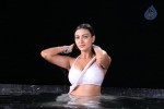 Neelam Upadhyay Hot Pics - 40 of 56