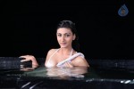 Neelam Upadhyay Hot Pics - 54 of 56