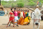 Paravai Tamil Movie Spicy Stills - 46 of 100