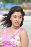 Payal Ghosh (Harika) Spicy Gallery - 37 of 96