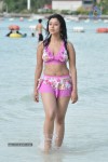 Payal Ghosh (Harika) Spicy Gallery - 46 of 96