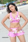 Payal Ghosh (Harika) Spicy Gallery - 60 of 96