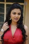 Priyanka Tiwari Hot Stills - 33 of 43