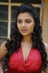 Priyanka Tiwari Hot Stills - 43 of 43