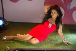 Rachana Mourya Spicy Pics - 60 of 88