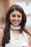 Richa Gangopadhyay Spicy Photos - 40 of 87