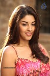 Richa Gangopadhyay Spicy Photos - 69 of 76