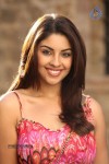 Richa Gangopadhyay Spicy Photos - 71 of 76