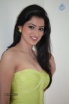 Richa Panai Hot Photos - 37 of 88