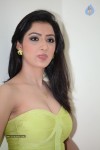 Richa Panai Hot Photos - 32 of 88