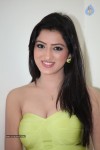 Richa Panai Hot Photos - 56 of 88