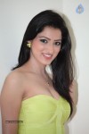 Richa Panai Hot Photos - 60 of 88