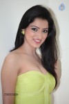 Richa Panai Hot Photos - 61 of 88