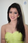 Richa Panai Hot Photos - 77 of 88