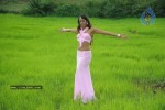 Rithika Hot Stills - 64 of 134