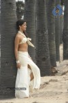 Rithika Hot Stills - 69 of 134