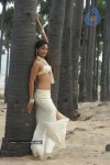 Rithika Hot Stills - 78 of 134