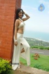 Rithika Hot Stills - 104 of 134