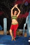 Sheena Shahabadi Hot Photos - 44 of 137