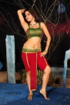 Sheena Shahabadi Hot Photos - 49 of 137