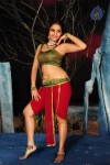 Sheena Shahabadi Hot Photos - 97 of 137