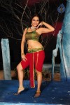 Sheena Shahabadi Hot Photos - 130 of 137