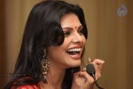 Sherlyn Chopra Hot Stills - 11 of 30