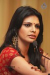 Sherlyn Chopra Hot Stills - 13 of 30