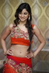 Shilpi Sharma Hot Photos - 30 of 65