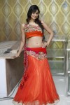 Shilpi Sharma Hot Photos - 35 of 65