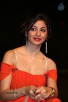 Shilpi Sharma Hot Photos - 68 of 102