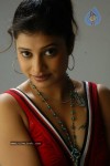 Shobana Naidu Hot Photos - 51 of 56