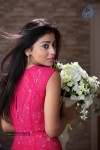 Shriya Hot Photos - 12 of 64