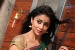 Shriya Hot Photos - 16 of 64