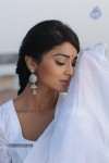 Shriya Hot Photos - 41 of 64