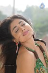 Shriya Hot Photos - 47 of 64